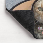 PRINCIPE TATUS/ELEGANT CAT, BIG DIVA-PET EN -ROZEN MUISMAT (Hoek)