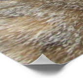 PRINCIPE TATUS/ELEGANT CAT, BIG DIVA-PET EN -ROZEN POSTER (Hoek)