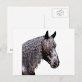 Prins Briefkaart (Voorkant / Achterkant)