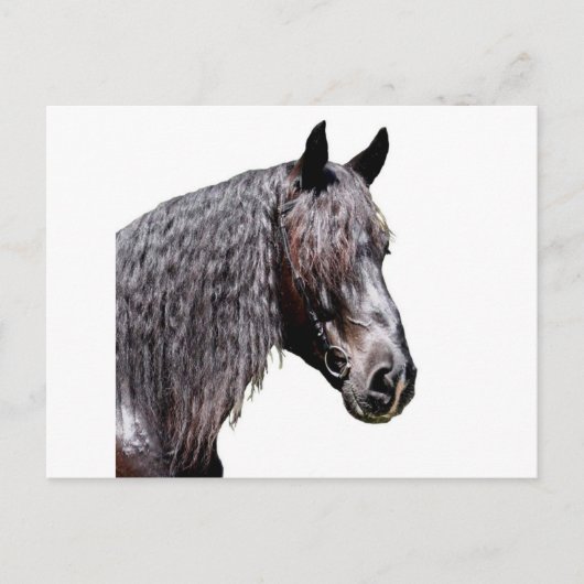 Prins Briefkaart (Voorkant)