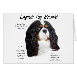 Prins Charles Engels Speelgoed Spaniel Geschiedeni