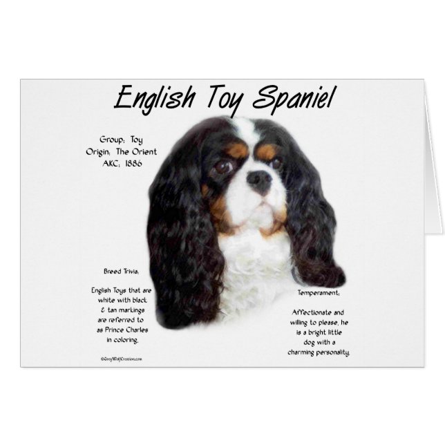 Prins Charles Engels Speelgoed Spaniel Geschiedeni (Voorkant Horizontaal)