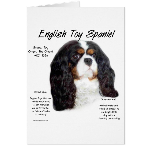 Prins Charles Engels Speelgoed Spaniel Geschiedeni (Voorkant)