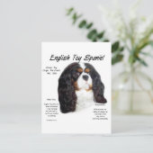 Prins Charles Engels Speelgoed Spaniel Geschiedeni Briefkaart (Staand voorkant)