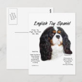 Prins Charles Engels Speelgoed Spaniel Geschiedeni Briefkaart (Voorkant / Achterkant)