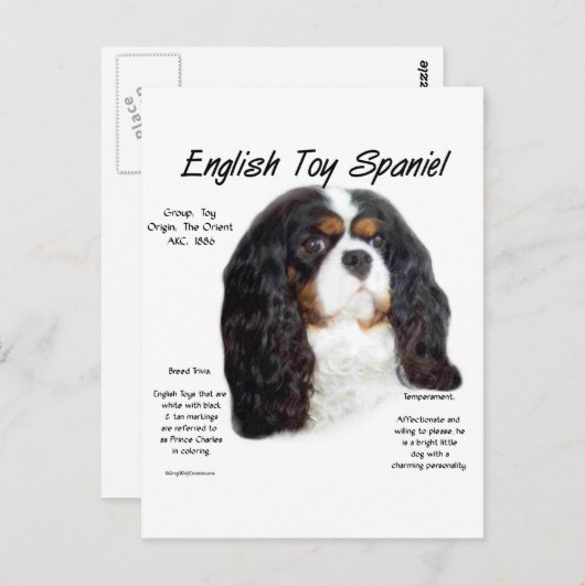 Prins Charles Engels Speelgoed Spaniel Geschiedeni Briefkaart (Voorkant / Achterkant)