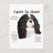 Prins Charles Engels Speelgoed Spaniel Geschiedeni Briefkaart (Voorkant)
