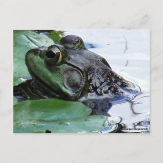 "Prins charming" Briefkaart