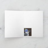 Prins de nietszeggende kaart (Binnen)