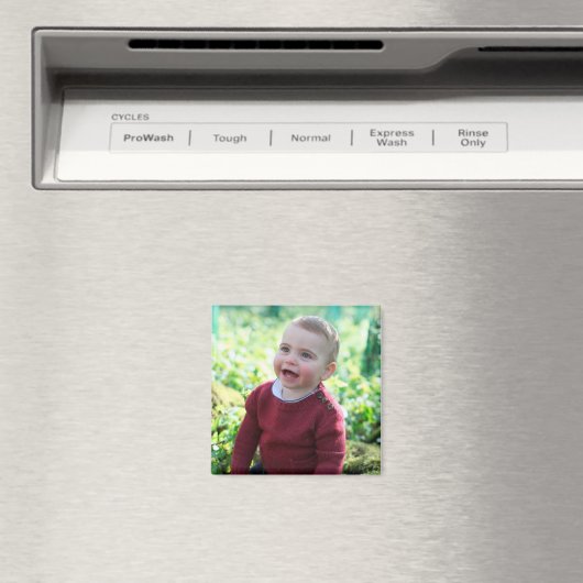 Prins Louis viert 1e verjaardag Magneet (Insitu (Vaatwasser))