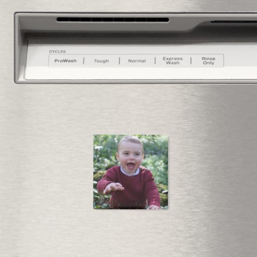 Prins Louis viert 1e verjaardag Magneet (Insitu (Vaatwasser))