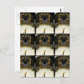 Prins met de Troll King Briefkaart (Voorkant / Achterkant)