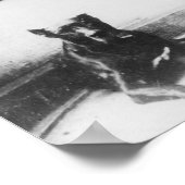 Prins Otto van Bismarck-Schoenhausen Poster (Hoek)