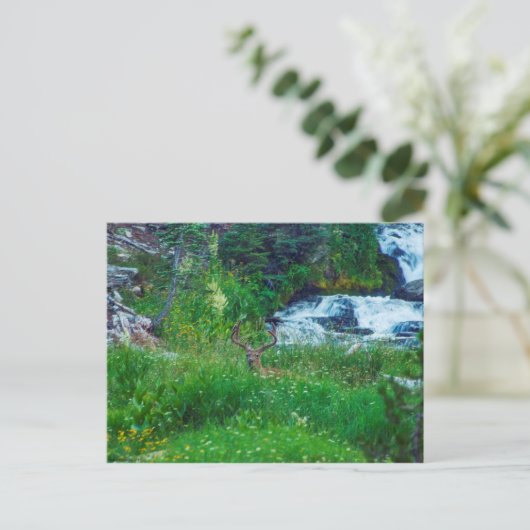 Prins van het bos briefkaart (Staand voorkant)