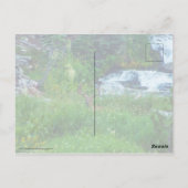 Prins van het bos briefkaart (Achterkant)