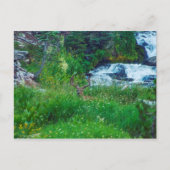 Prins van het bos briefkaart (Voorkant)