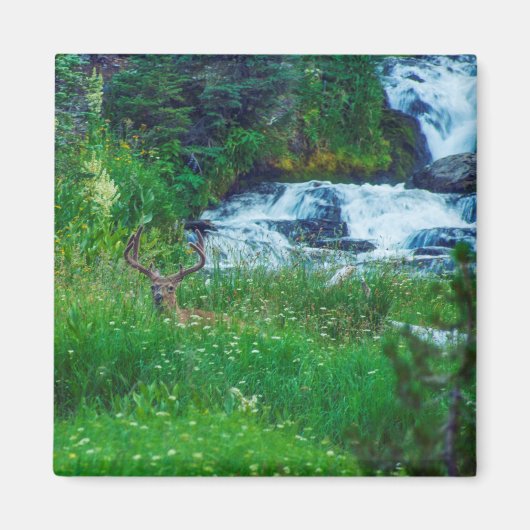 Prins van het bos magneet (Voorkant)