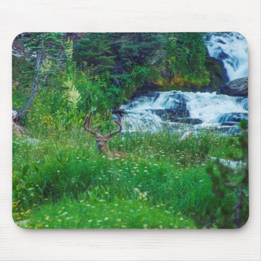 Prins van het bos muismat (Voorkant)