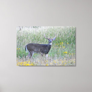 Prins van het doek van het doek van het beemdje (D Canvas Afdruk
