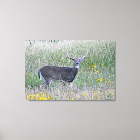 Prins van het doek van het doek van het beemdje (D Canvas Afdruk (Voorkant)