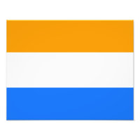 Prins vlag