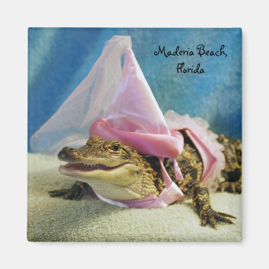 Prinses alligator magneet (Voorkant)