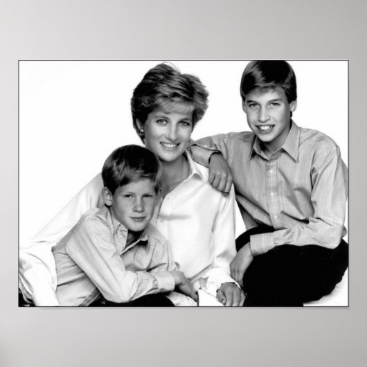 Prinses Diana en zonen Poster (Voorkant)