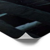 prinses diana poster (Hoek)