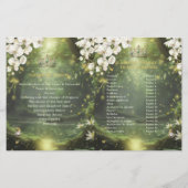 Prinses en kikker Salie Groene Quinceanera-program (Achterkant)