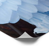 prinses met blauwe vederjurk poster (Hoek)