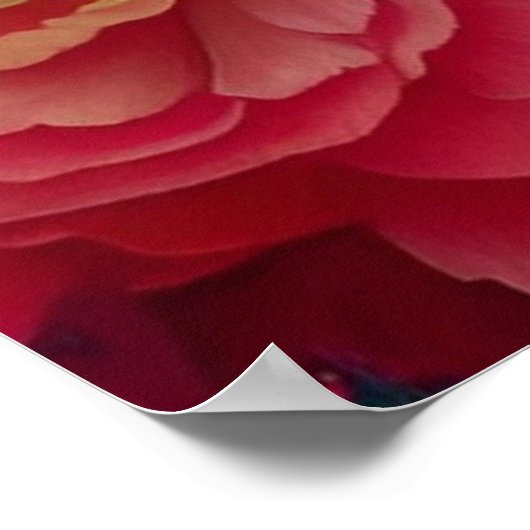 Prinses met een blauwe tiara poster (Hoek)