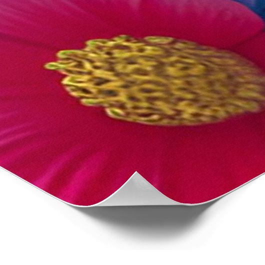  prinses met groot pet poster (Hoek)