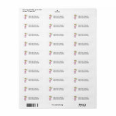 Prinses Met Toverstaf Etiket (Full Sheet)
