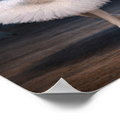 "Prinses Odette & Prins Siegfried" (1) Poster (Hoek)