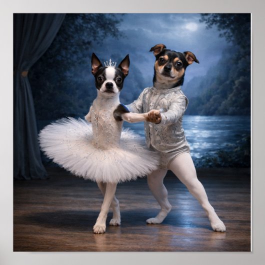 "Prinses Odette & Prins Siegfried" (1) Poster (Voorkant)