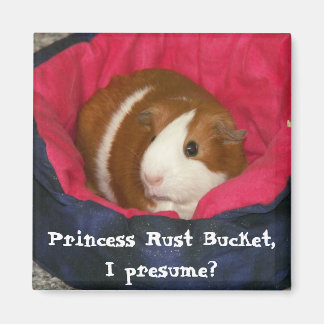 Prinses Rust Bucket, neem ik aan? Magneet