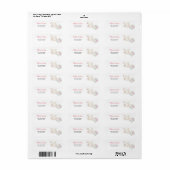 Prinses Zwaan Adres Etiket (Full Sheet)