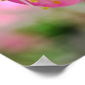 Prinsessenbloesem Close-Up Poster (Hoek)