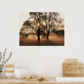 PRINT - 2 Big Trees Sepia Gold (Keuken)