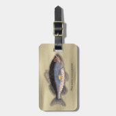  print "Bahama Rock Fish" Bagagelabel (Voorkant verticaal)