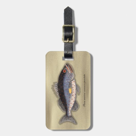 print "Bahama Rock Fish" Bagagelabel (Voorkant verticaal)
