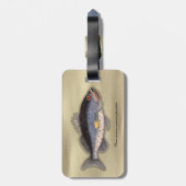  print "Bahama Rock Fish" Bagagelabel (Achterkant verticaal)