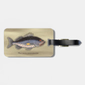  print "Bahama Rock Fish" Bagagelabel (Achterkant horizontaal)