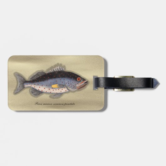  print "Bahama Rock Fish" Bagagelabel (Achterkant horizontaal)