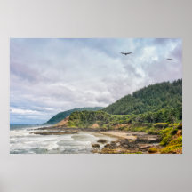Print: meeuwen die langs de kust vliegen