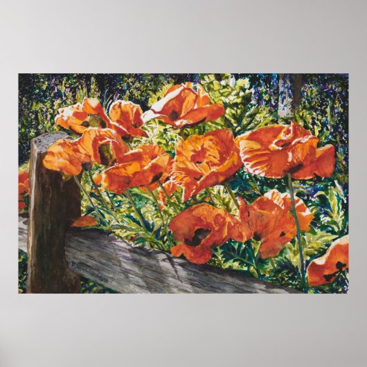 Print, Value Poster Paper (Matte) (Voorkant)