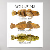 Print, Value Poster Paper (Matte) (Voorkant)