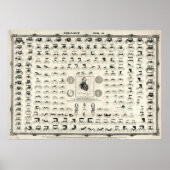 Print van Antiek 1853 Carriage & Coach Chart No. 5 (Voorkant)