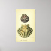 print van een Britse shell (Voorkant)