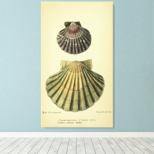 print van een Britse shell (Insitu (Houten vloer))